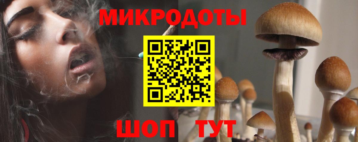 Псилоцибиновые грибы Magic Shrooms  как найти закладки  Королёв  Вход с VPN 
